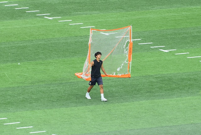 的替代者